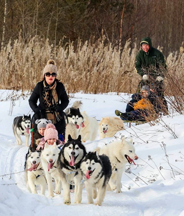 Kızak köpeği kulübesi "Elbrus"