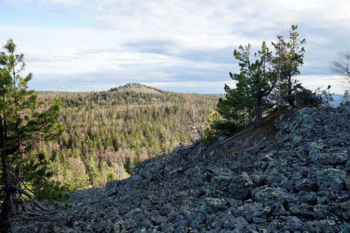 Visimskiy biosfera rezervati