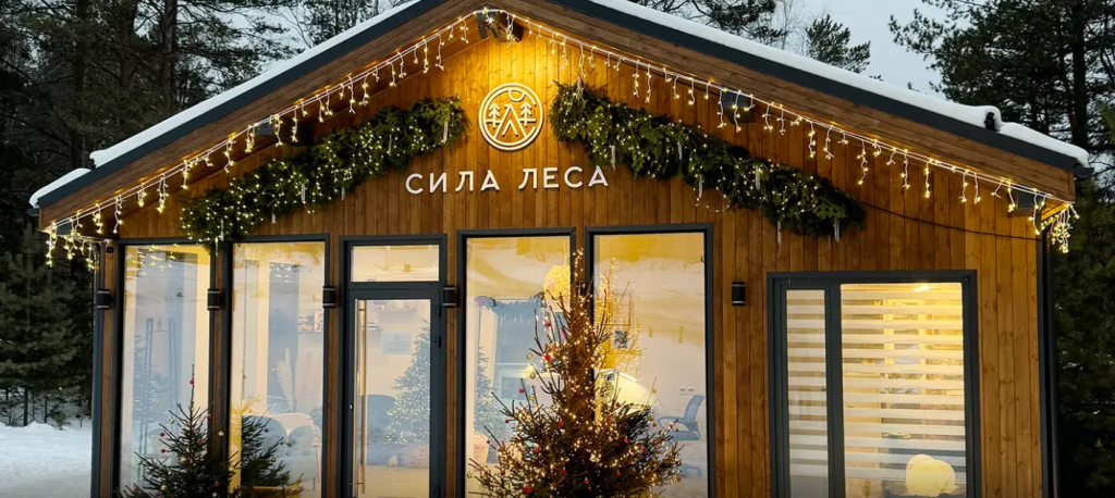 Сила леса.png