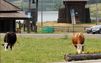 Нижнесинячихинский музей-заповедник деревянного зодчества и народного искусства имени И.Д. Самойлова